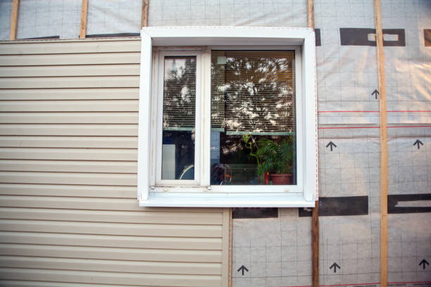 Best Custom Siding Design  in Homer, LA