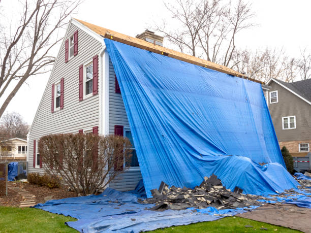 Best Siding Removal and Disposal  in Homer, LA