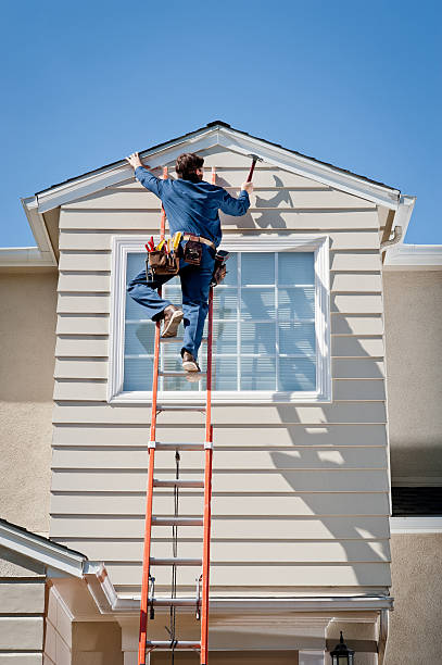 Best Historical Building Siding Restoration  in Homer, LA