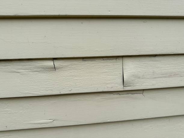 Best Custom Trim and Detailing for Siding  in Homer, LA
